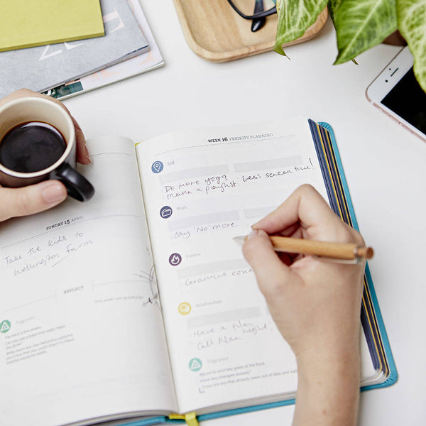 Trigg Life Mapper 2024